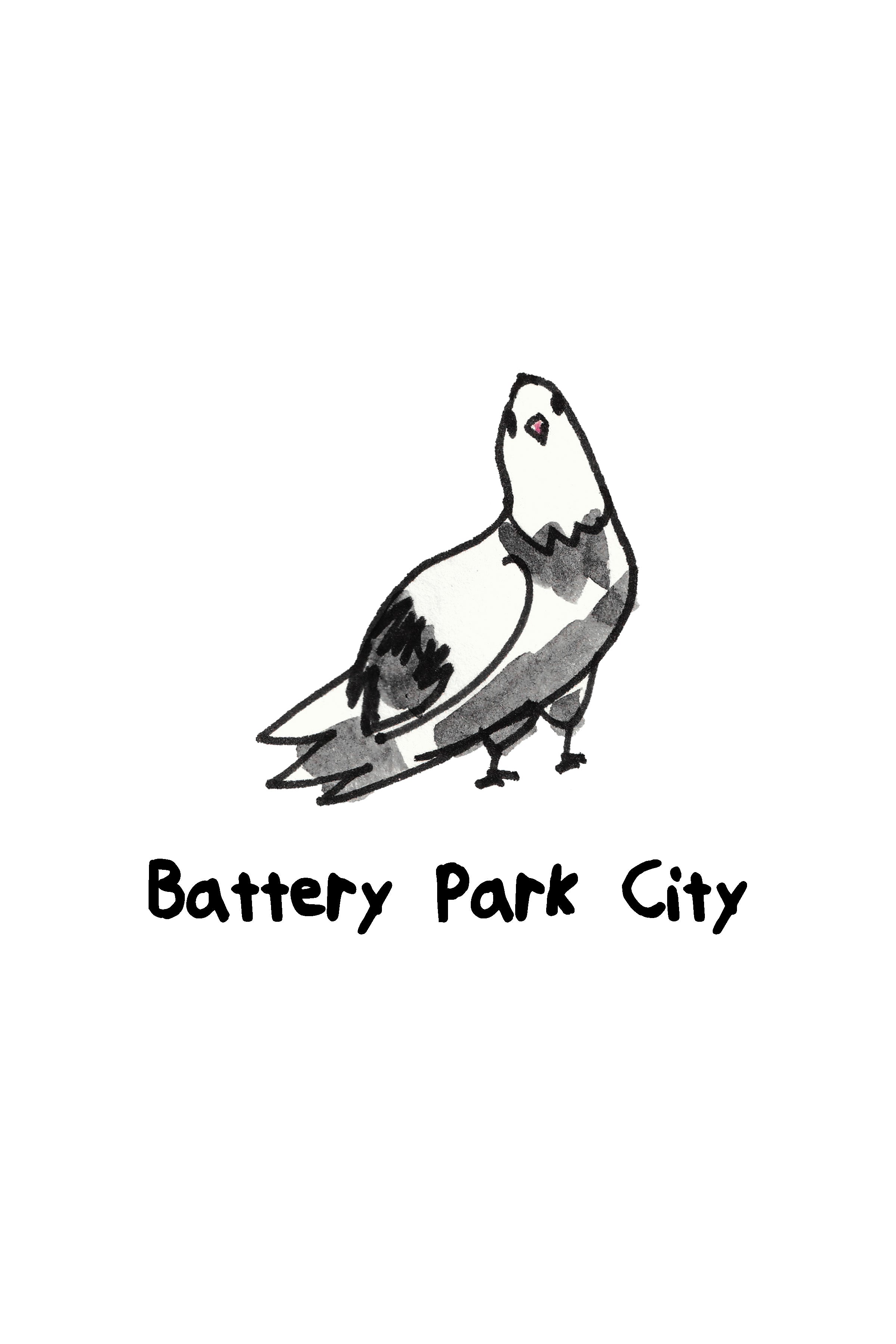 Pigeons of NYC