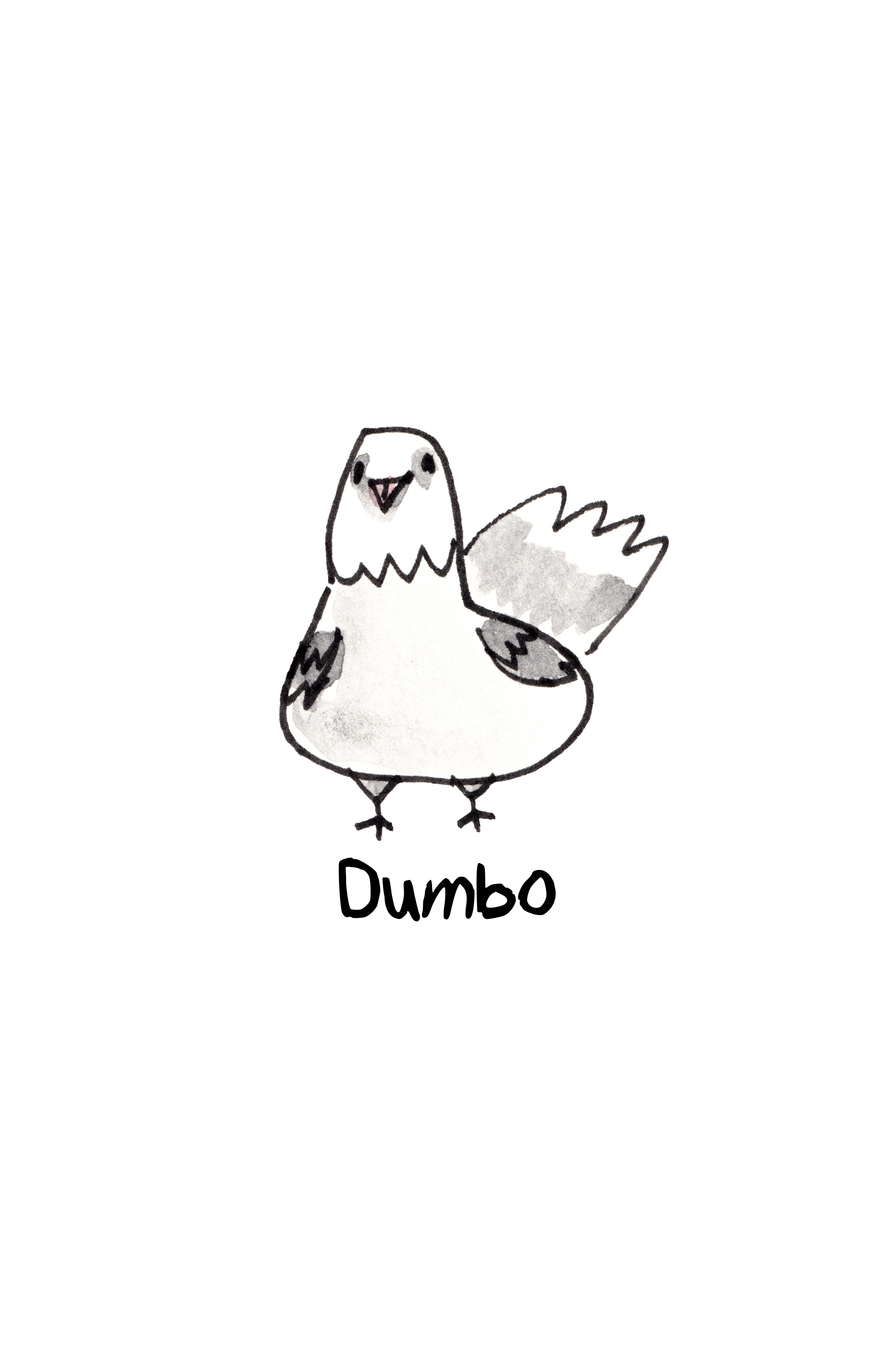 Pigeons of NYC