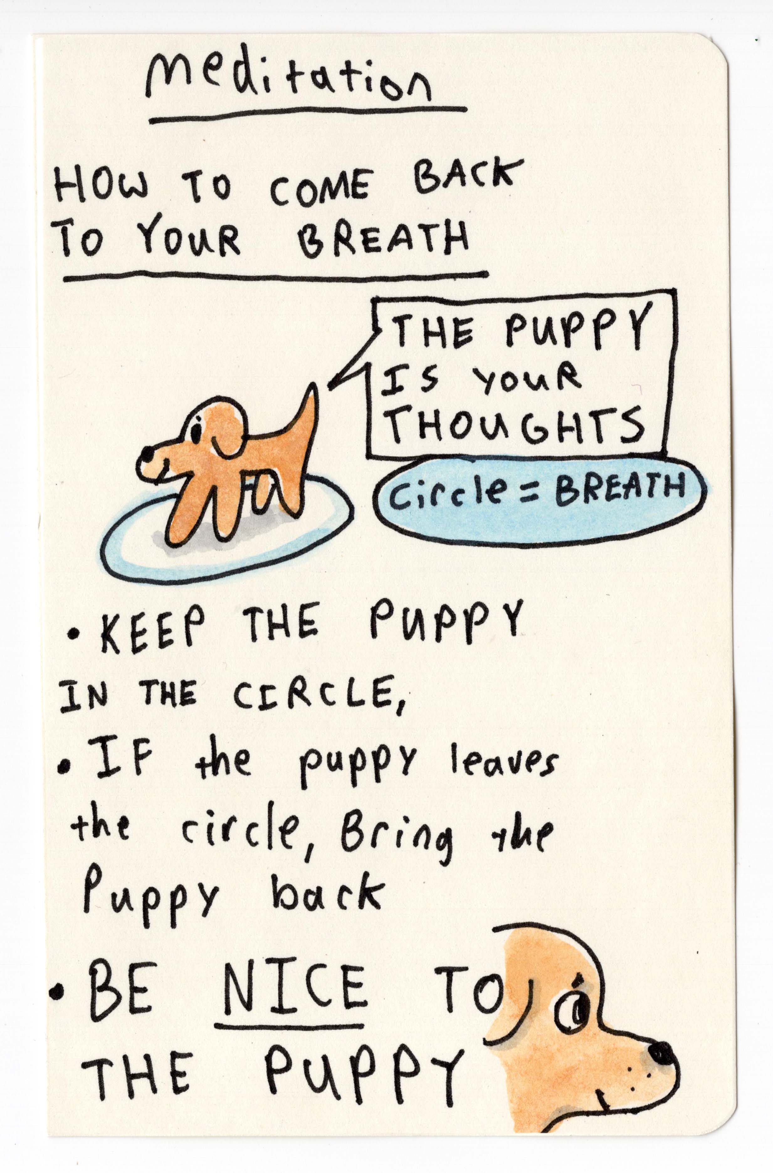 Puppy mediation