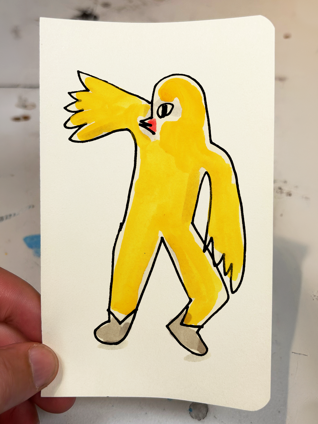 Chicken Drawings