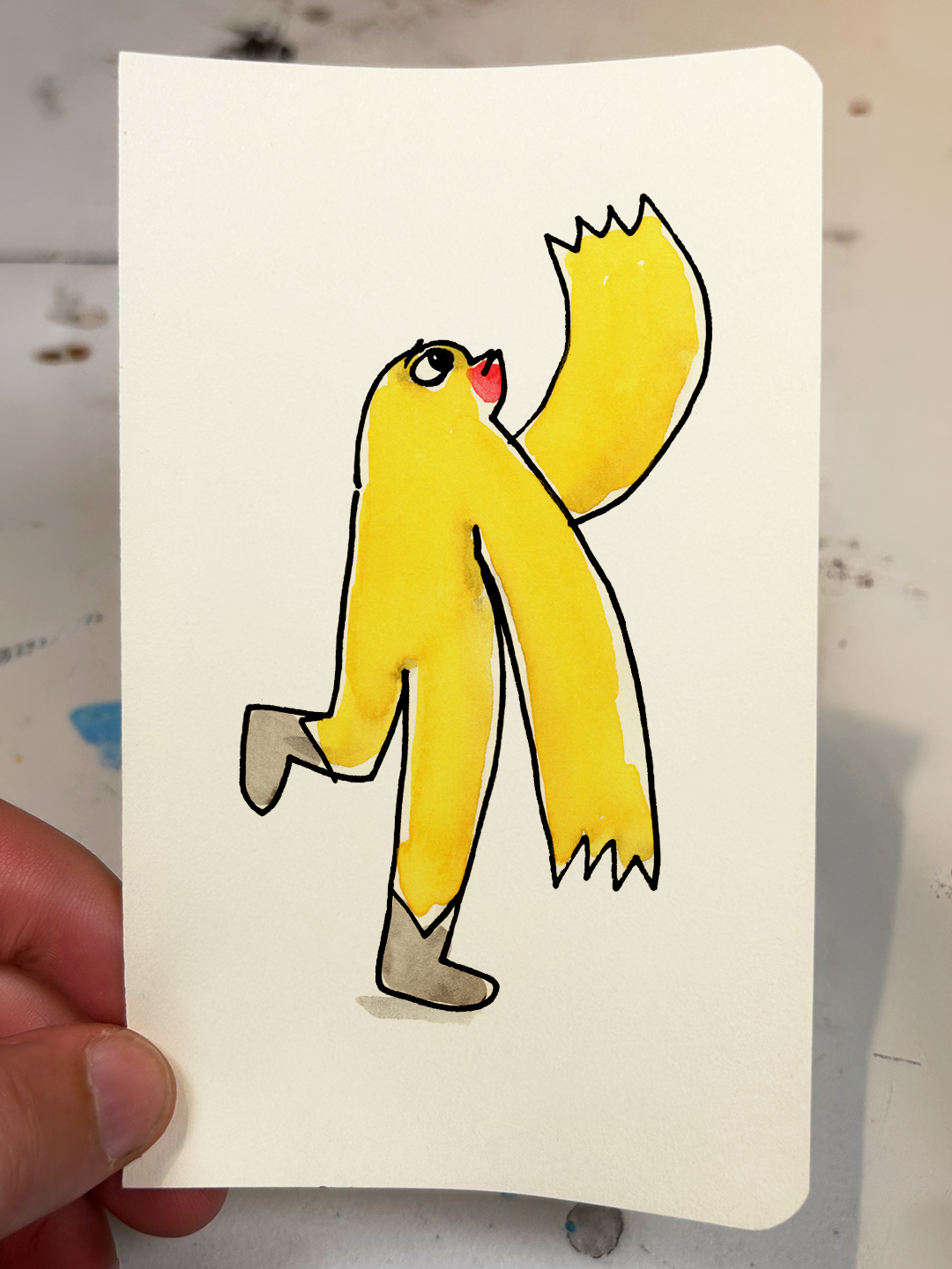 Chicken Drawings