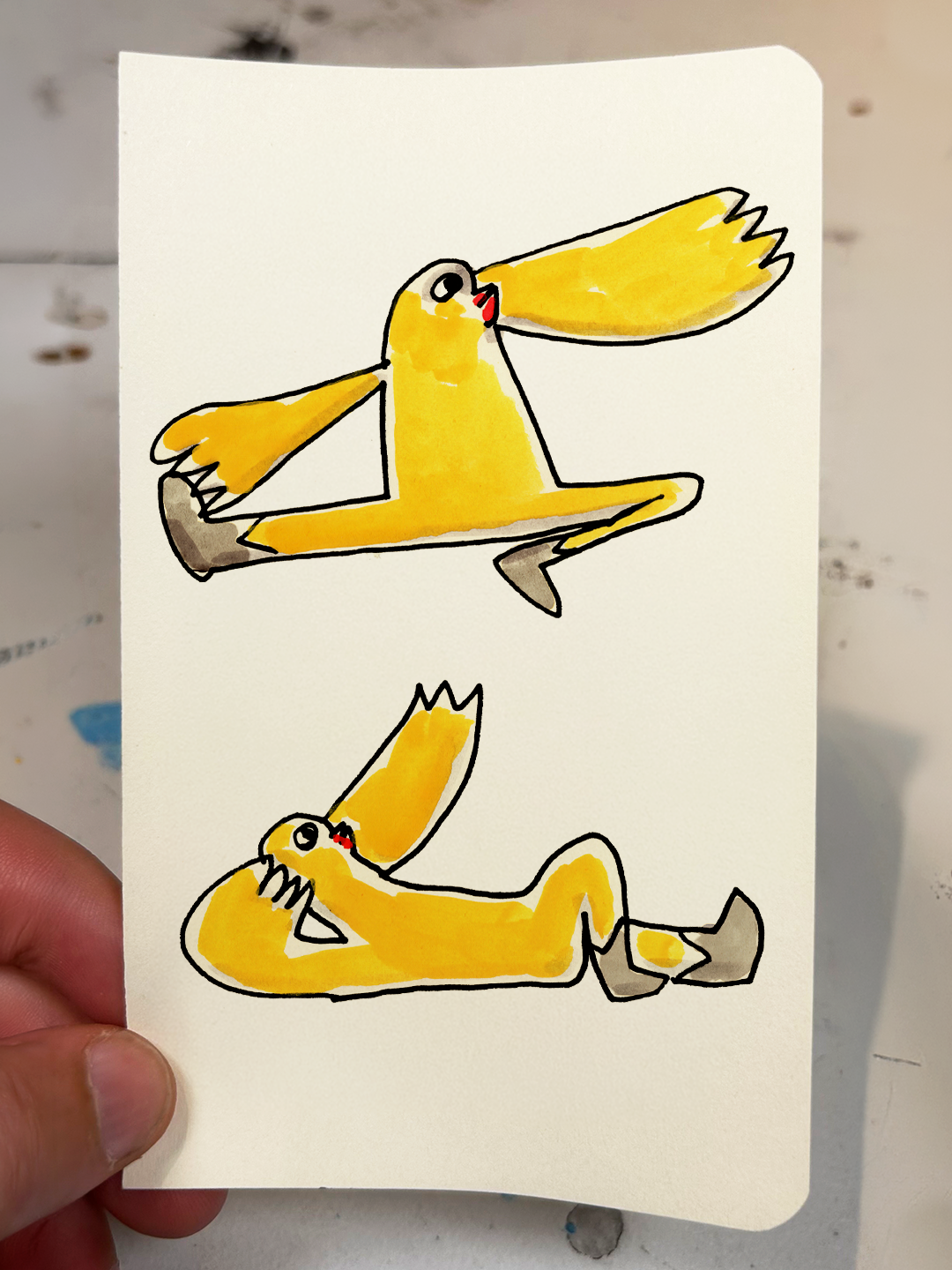 Chicken Drawings