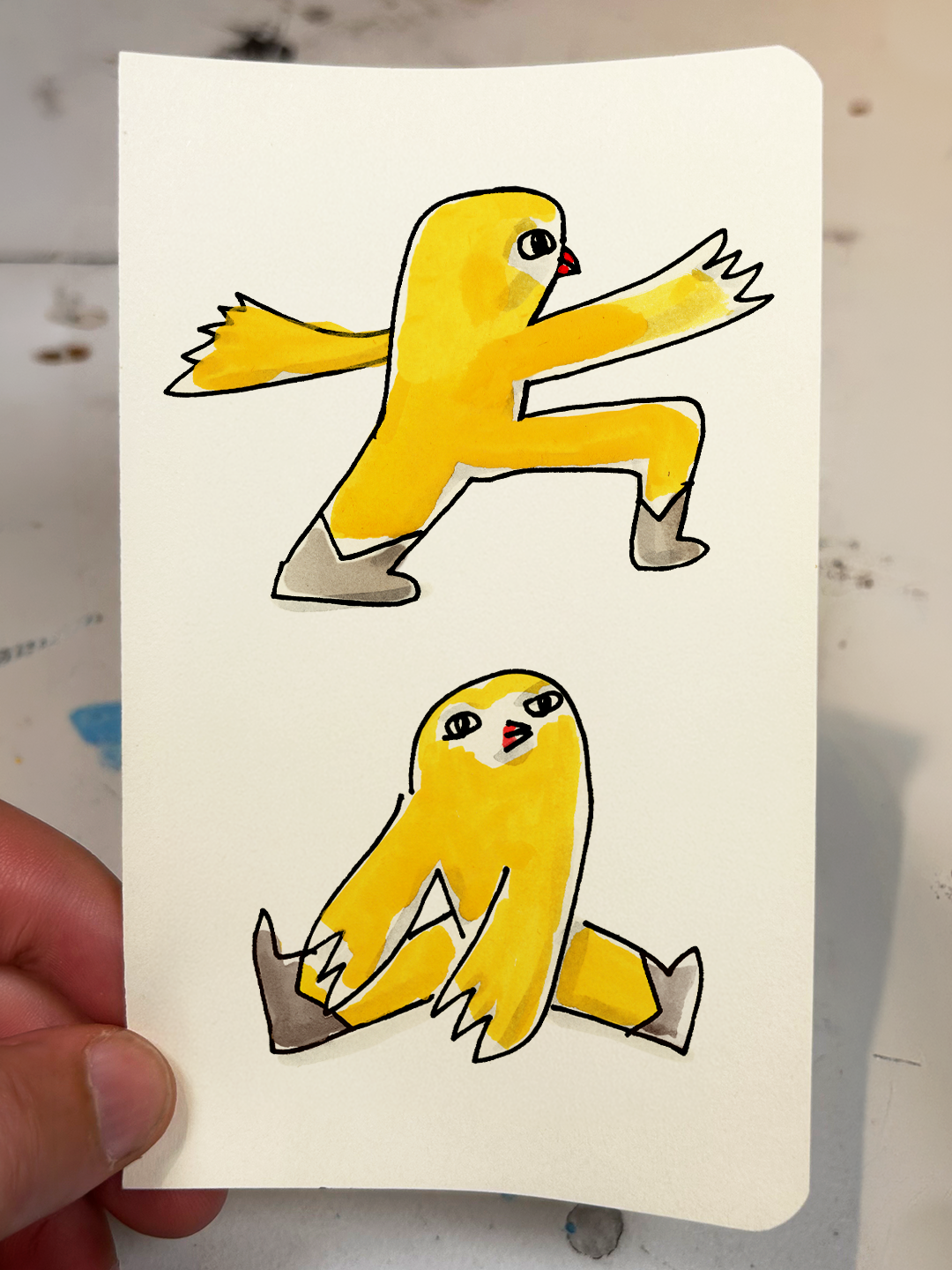 Chicken Drawings