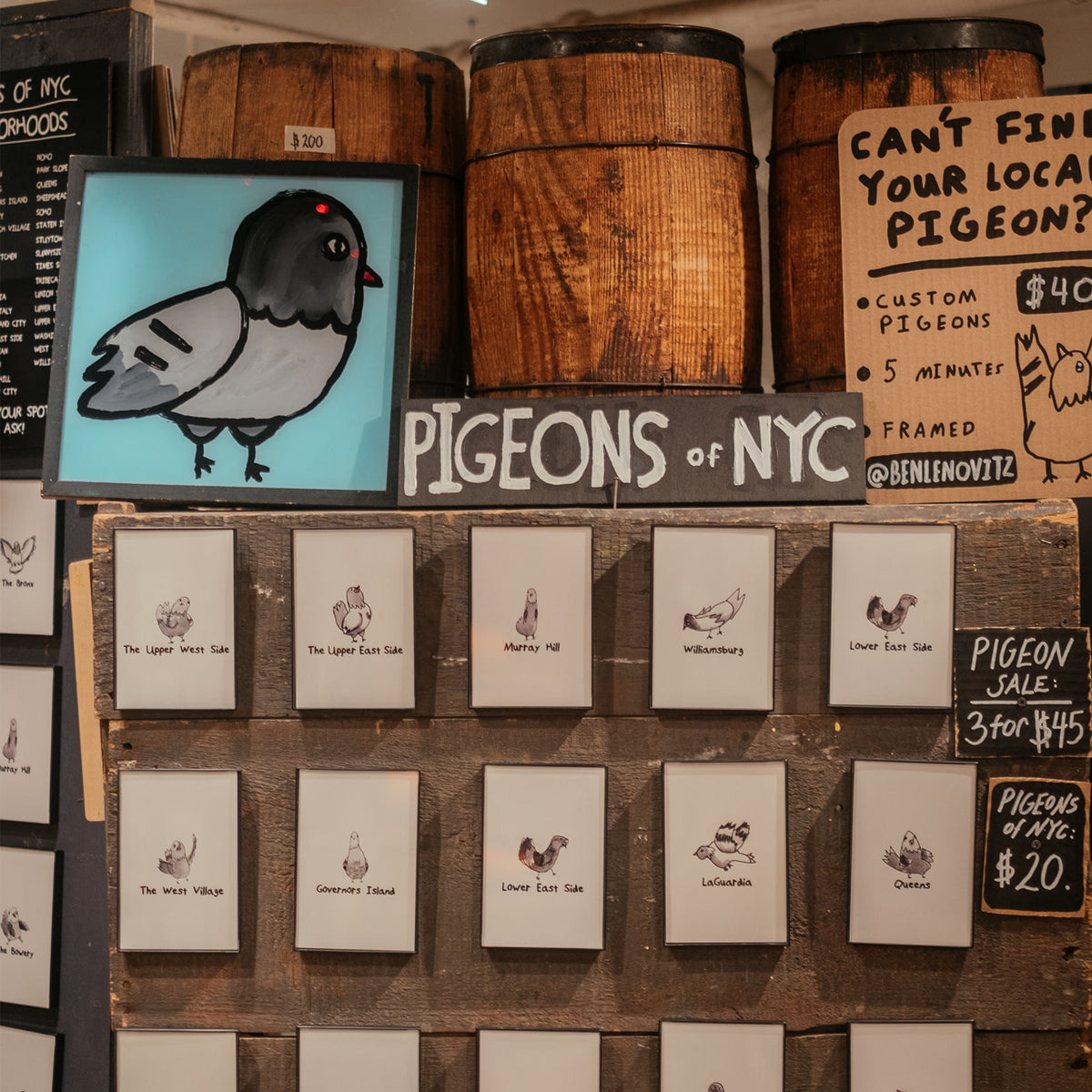 Pigeons of NYC prints by Ben Lenovitz (1)