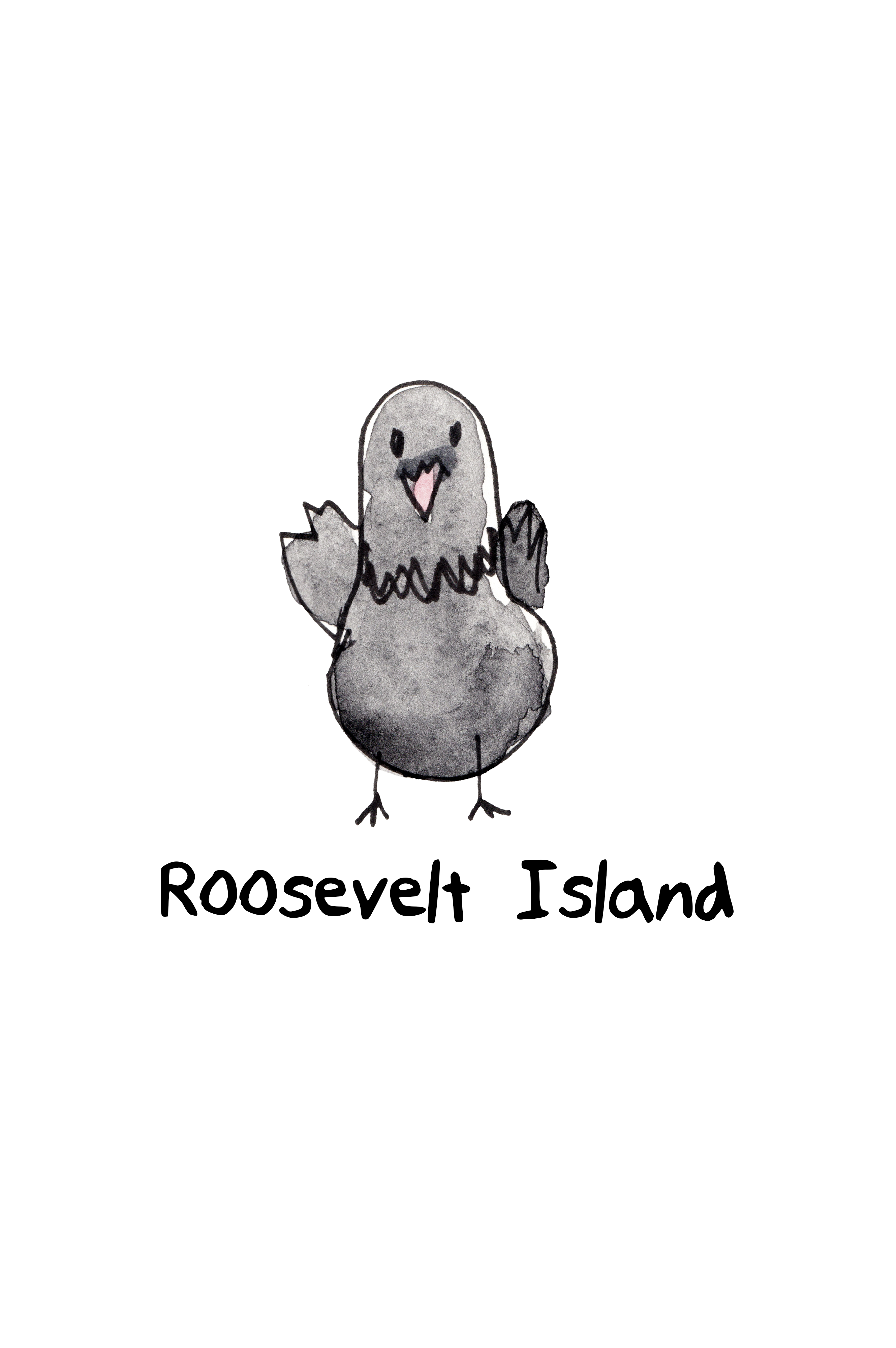 Pigeons of NYC